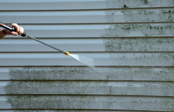 Best Sidewalk and Walkway Cleaning  in Clio, AL
